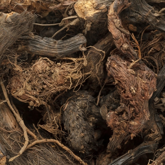 Spikenard (Nardostachys jatamansi) - Organic Essential Oil