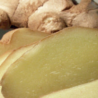Gingembre (Zingiber officinale) - Huile gastronomique bio