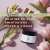 Atelier | Routine de soins printaniers | 12 avril 2025