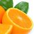 Sweet Orange (Citrus sinensis) Gastronomic Oil