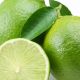 Lime (Citron vert) zeste (Citrus x aurantiifolia) huile gastronomique