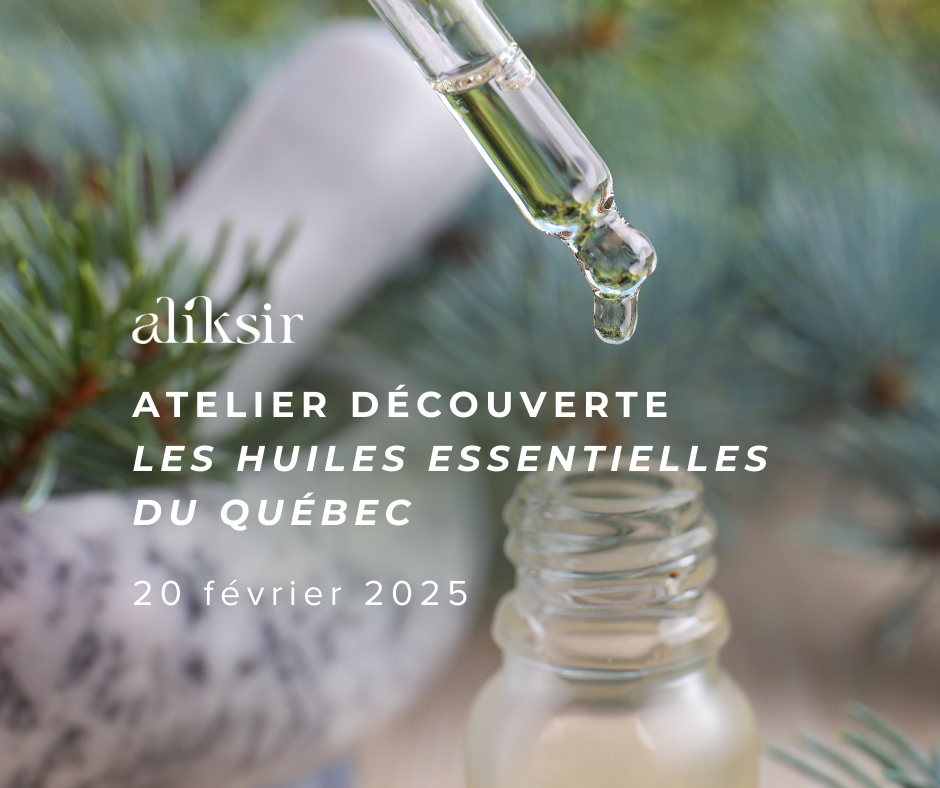 Atelier découverte sur les huiles essentielles du Québec 